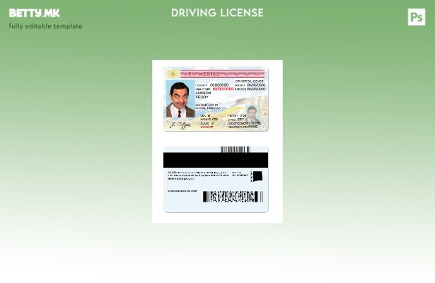 Модерен стил шаблон за возачка дозвола на американската држава Ново Мексико